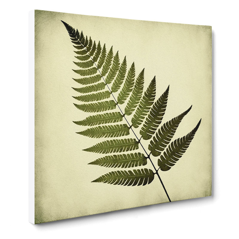 Fern Leaf Retro Art - Wrapped Canvas, 35cm H x 35cm W x 3cm D