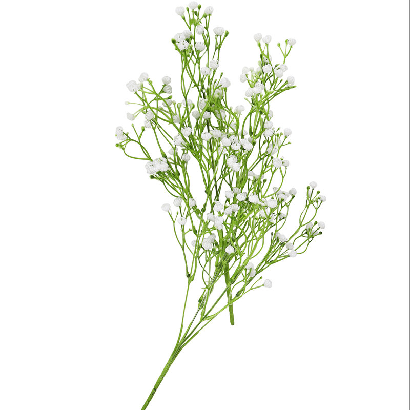 Baby Breath Arrangement