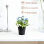 1 PCS de plantes en pot artificielles (mini-plantes artificielles artificielles) pour le salon, la salle de bain, les décorations de tablettes de cuisine, les accessoires de bureau de table basse