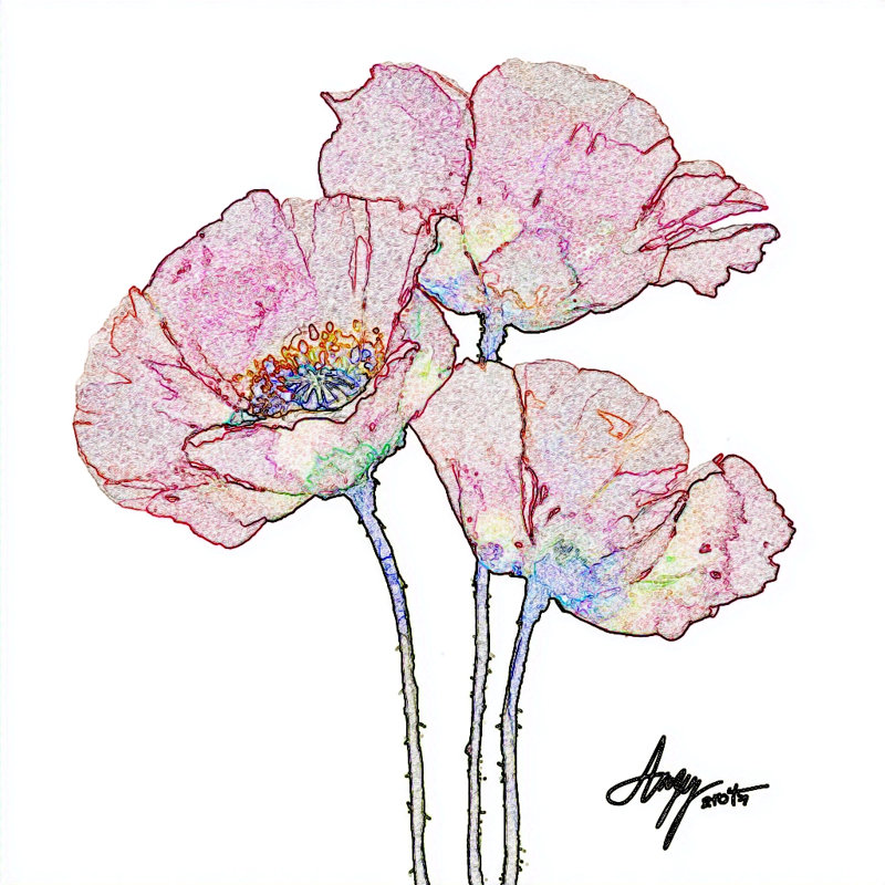 Art mural sur toile coquelicot coquelicot, L 12 po x H 12 po x P 1 po