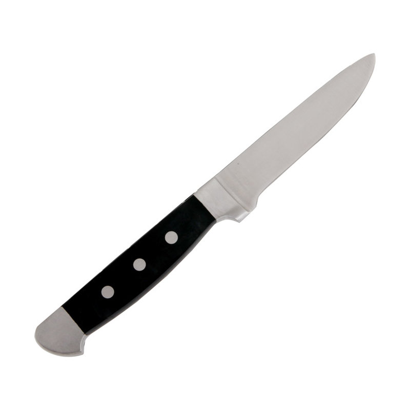 Fortessa Vaquero Steak Knife Set