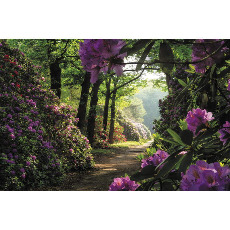 " Rhododendron Lane ", 12" H x 18" W, Yes, Gold Single Picture Framed