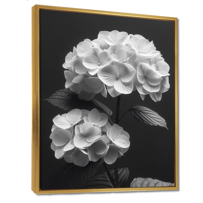 Monochrome Hydrangea Botanical Beauty I - Hydrangea Wall Decor, Gold Floater Framed, 34" H x 44" W