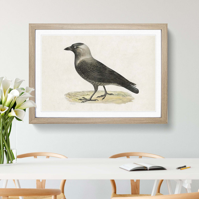 Western Jackdaw by Von Wright - Picture Frame Painting Print, 36cm H x 48cm W x 2cm D, Oak Framed