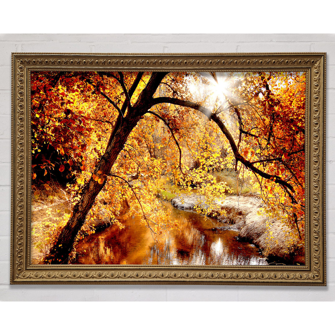 Creek In The Autumn Forest - Einzelner Bilderrahmen Kunstdrucke