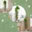  180cm Artificial Fiddle Leaf Fig Tree with Solid Wood Trunks-2104939309
