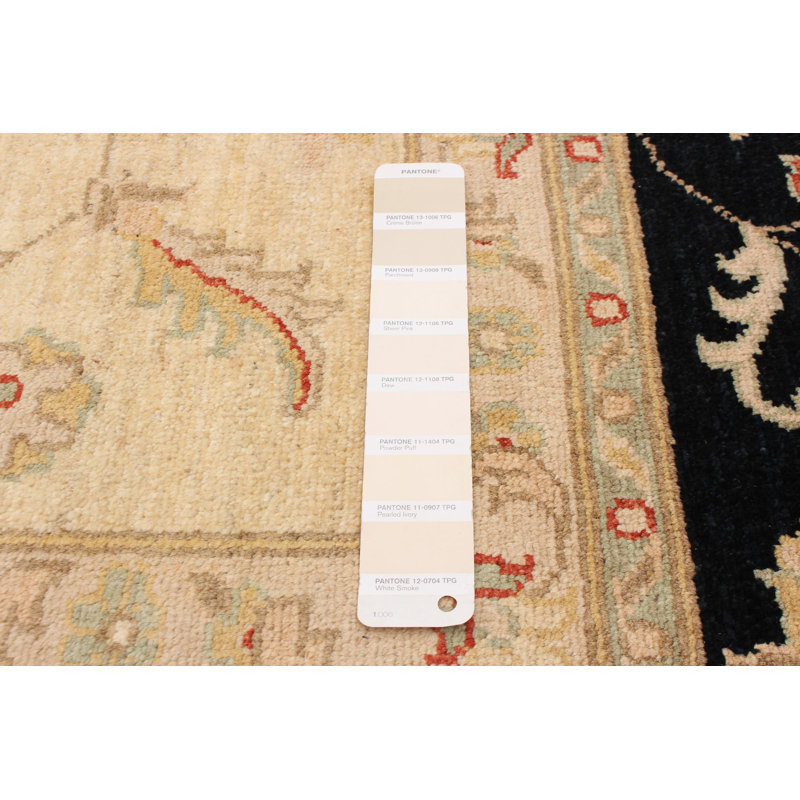 Tapis noir / ivoire / kaki / vert clair Peshawar Oushak 9 pi 4 po x 12 pi 1 po