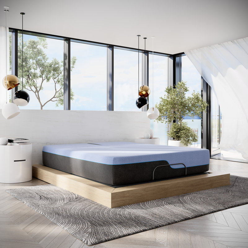 The Twillery Co.® Marcela 12-inch Flex Top Latex Foam Hybrid Mattress and Adjustable Base Bundle, Split Queen