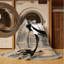  Tapis lavable Marabou Stork-1577510921