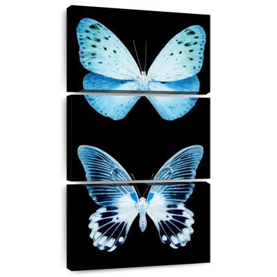 Miss Butterfly X-Ray - noir
