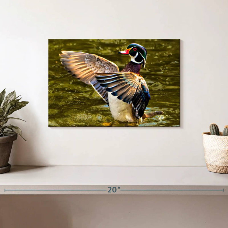 Brampt Duck Flapping Wings, 8" H x 12" W