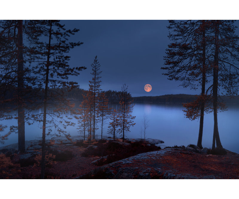 Wrapped Canvas Print, 50.8 cm H x 76.2 cm W