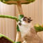 Arbre à chat 3 niveaux avec condons, perchoir, poteaux à griffer