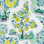 Citrus Garden Indoor/Outdoor Fabric-31247022