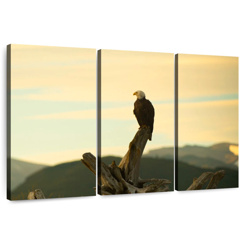 Aigle Brampt au coucher du soleil, H 48 po x l 74 po