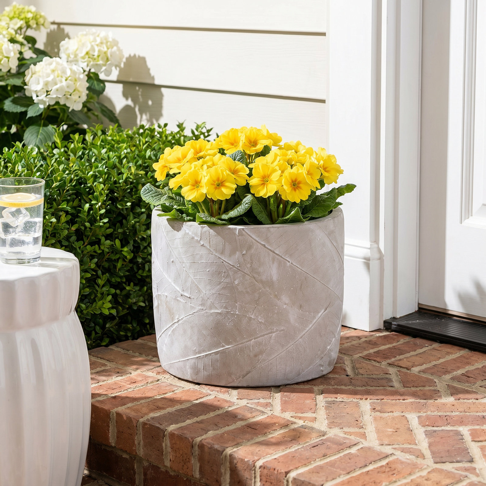 Potomac 7" Pot Planter