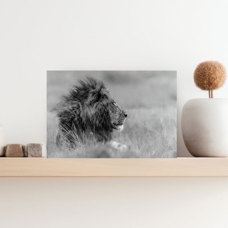 «Majestic Lion Profile», art mural contemporain, H 12 po x l 18 po