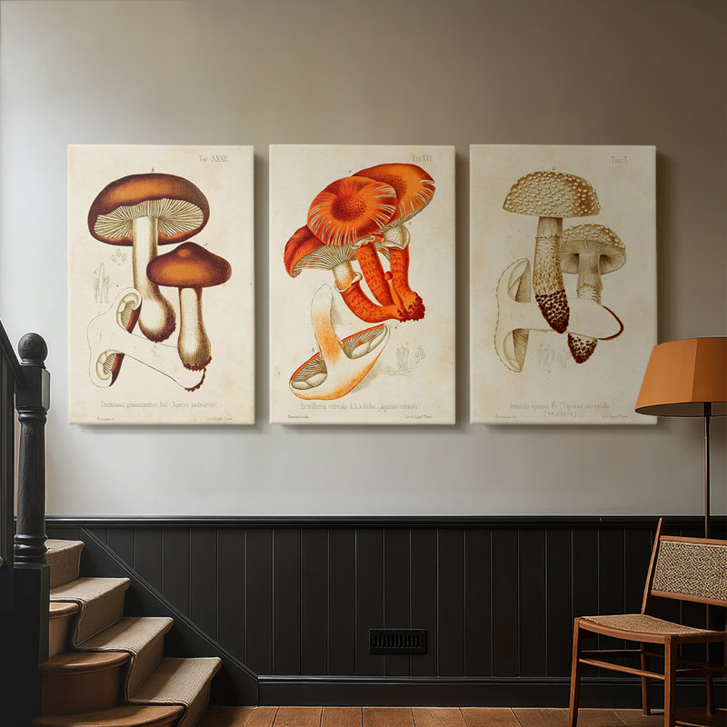 Mushroom Variétés VI - Toile tendue sur mesure avec châssis - 3 pièces, H 18 po x l 36 po