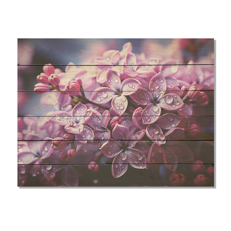 Lilas rose photo harmonie I - lilas, art mural sur bois de pin naturel, H 10 po x l 20 po