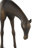Animals Figurines & Sculptures