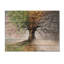 Arbre sur toile, impression de nature quatre saisons - Arbre avec quatre saisons-2067212274-2106505451-2034200490