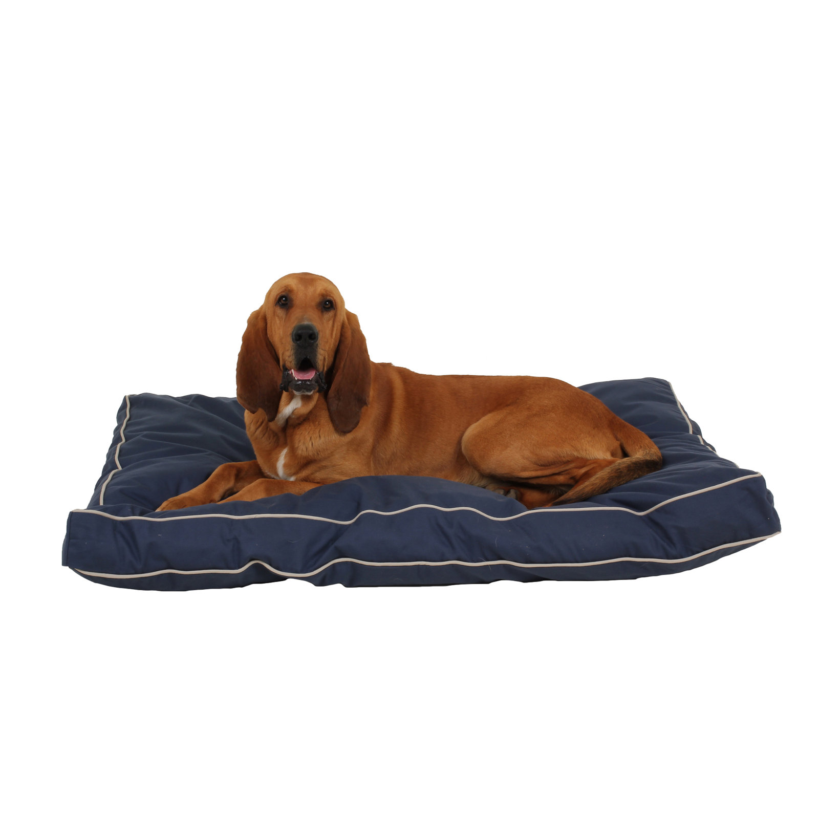 Orthopedic Foam Pet Bed with Washable Cover, Blue/Khaki, Large (48" W x 36" D x 4" H)