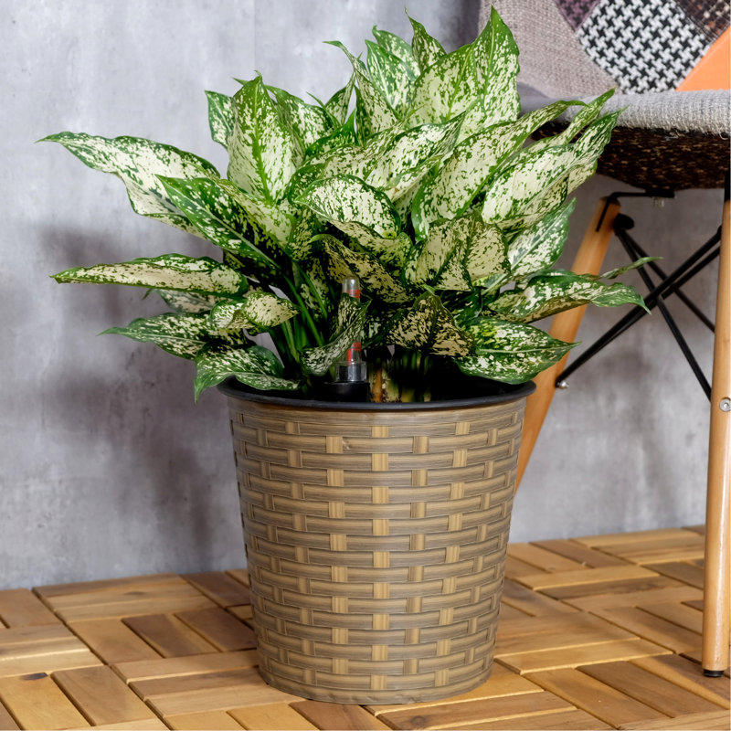 10.2" Round Natural Planter - Self-Watering Technology Ideal For Home And Garden Indoors Outdoors With Feature Weather Indoor Outdoor