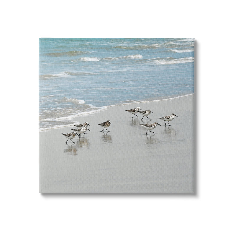 «Sandpipers Flock Sandy Beach Shore», art mural sur toile par Natalie Carpentieri, H 17 po x l 17 po x P 1,5 po