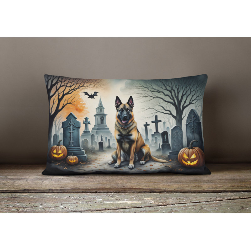 Other/No Pattern Outdoor Throw Pillow
