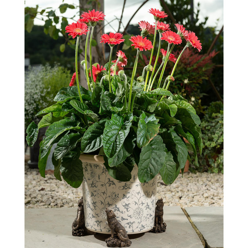 Boling Metal Planter Feet