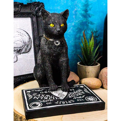 Jonesha, chat noir d'Halloween