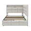 Upholstered Twin Size Daybed With Storage 2 Drawers And LED Lights-113969895