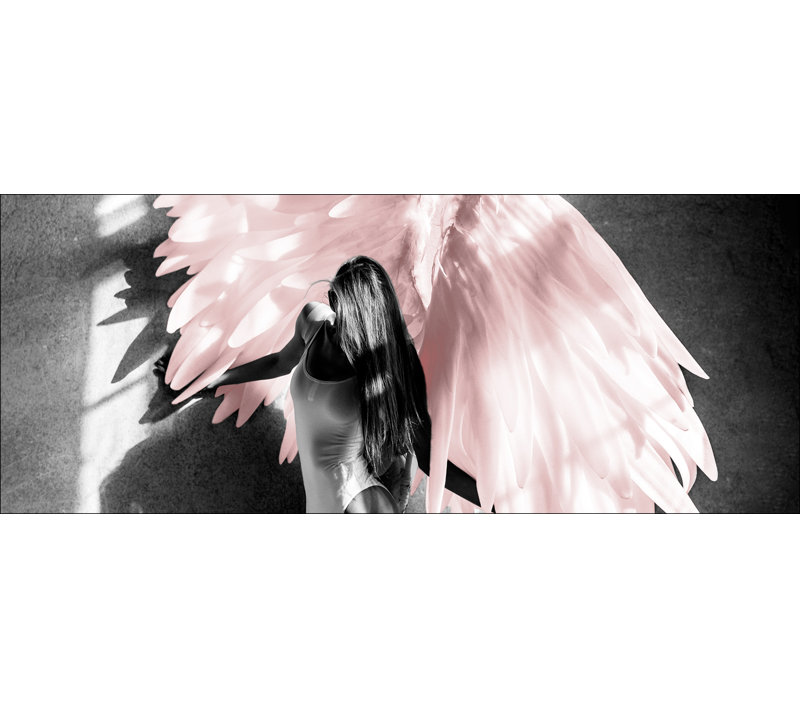 Angel - No Frame Print on Canvas, 50cm H x 125cm W x 1.4cm D