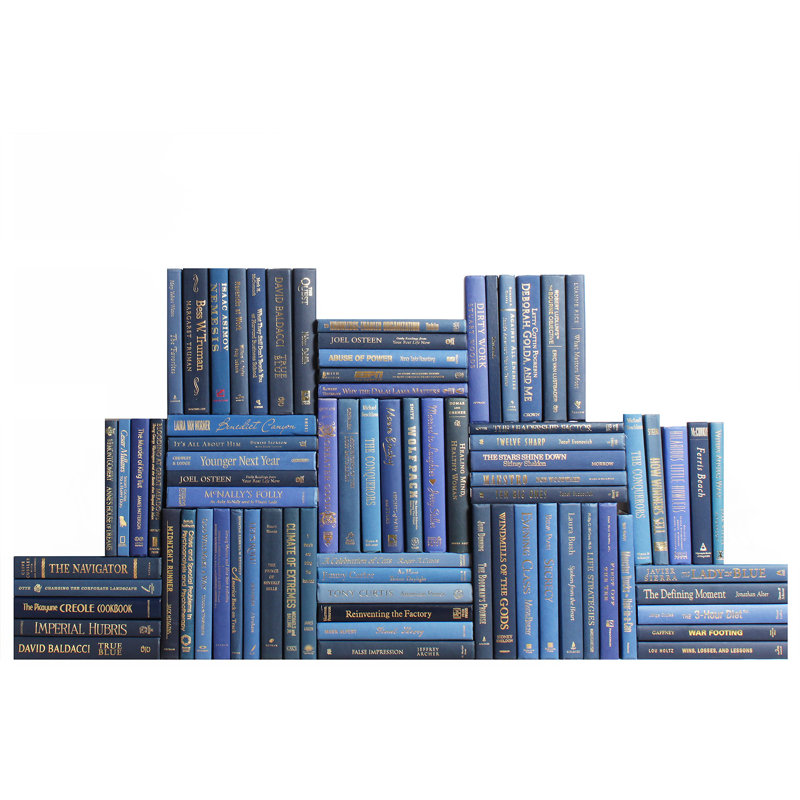 Modern Denim & Gold Book Wall, 75, 9.5" H x 83" W x 8" D, Serene Sky Blue