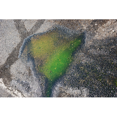 Glycol Coolant Spill - Wrapped Canvas Print
