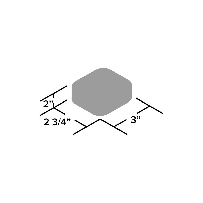 DTV+™ Bridge Module