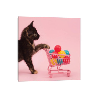 Only The Essentials 1 Piece Wrapped Canvas Wall Art