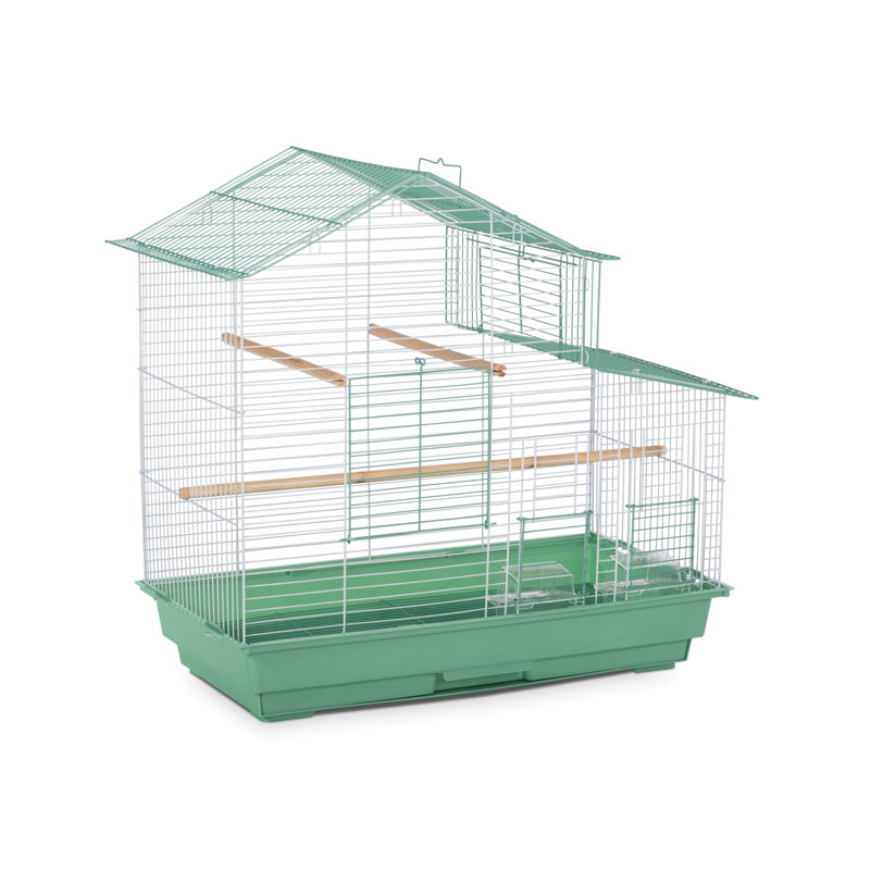  Cage à oiseaux 25 po, vert