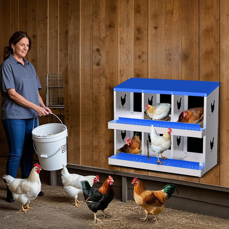 Boîte de nidification à poulet 6 compartiments en métal sans pieds (bleu), Blue/Silver