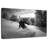 Sireci Snow Skiing-107510242