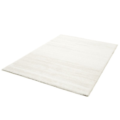 Balroop Solid Colour Shag Area Rug