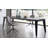 Ebright Extendable Dining Table