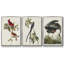 Pl 121 Harfang des neiges 3 pièces-97711758-97711765