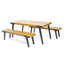 1 table de salle à manger + 2 bancs de salle à manger