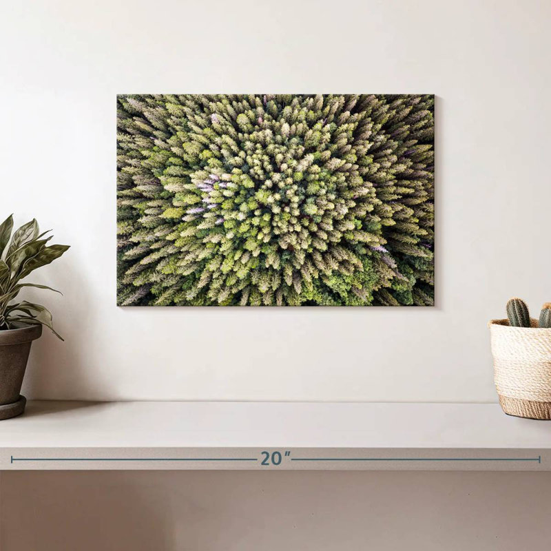 Evergreen Pine Trees, 8" H x 12" W