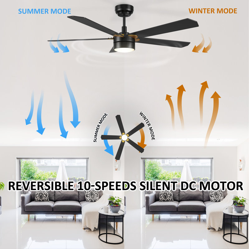 Amonni 52'' Ceiling Fan with LED Lights, Black