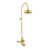Unlacquered Polished Brass