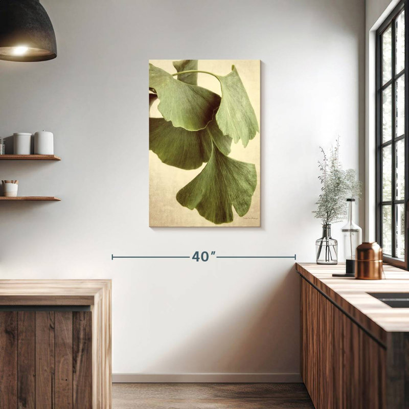 Couleur Harnek Ginkgo, H 36 po x l 24 po
