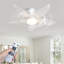 Ceiling Fan