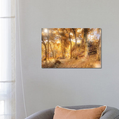 Tropical Forest XXIV 1 Piece Wrapped Canvas Wall Art